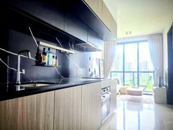 Irwell Hill Residences (D9), Apartment #502810131